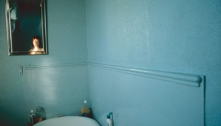 Exposition Nan Goldin, This Will Not End Well - Grand Palais